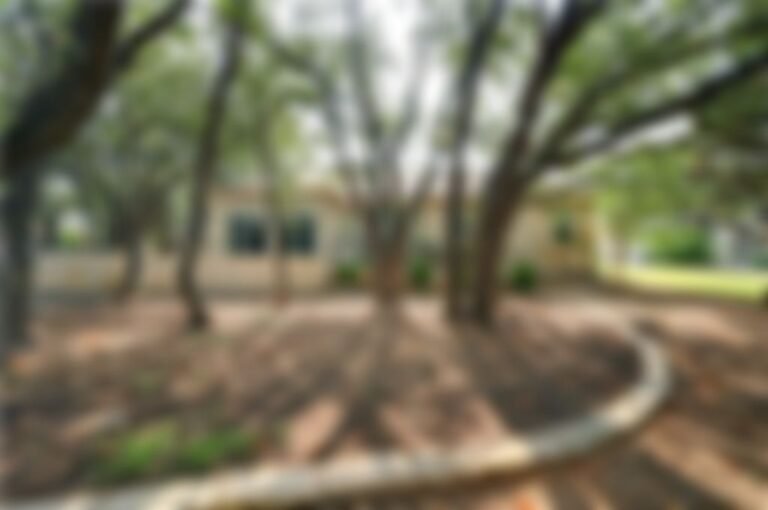 7d65264f 16 768x510