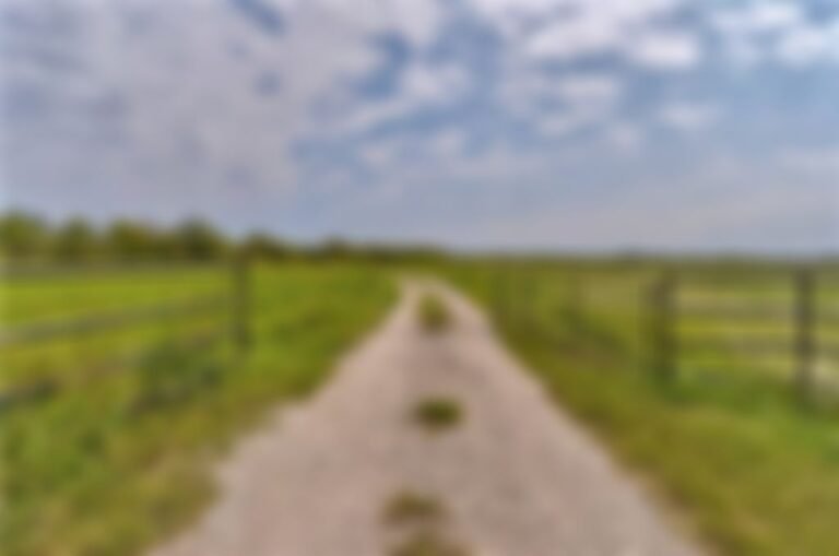 8d076785 56 768x509