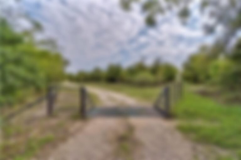 a15d25e1 55 768x511